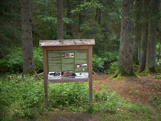 Erholungsgebiet Pflanzgarte, Biberpfad, Hermeskeil