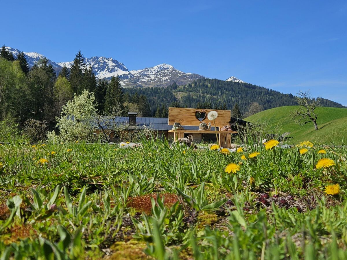 Wunderschöne Aussicht auf die Berge