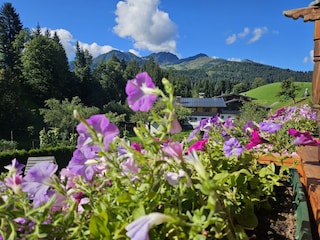 Aussicht vom Balkon