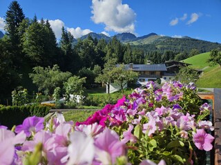 Aussicht vom Balkon