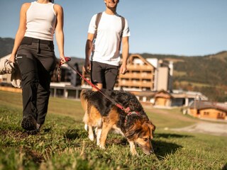 Wandern mit Hund (6)