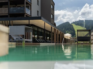 Schwimmteich HERO