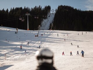 Bild (10)