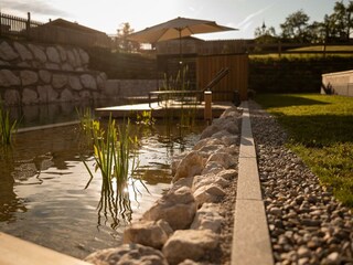 Schwimmteich (9)