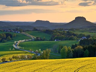 Blick zum Lilienstein