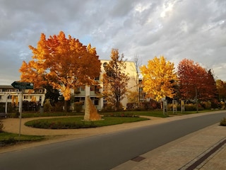 Ferienwohnung Bad Schandau Umgebung 21