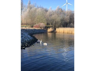 Casa galleggiante Stralsund Registrazione all'aperto 10