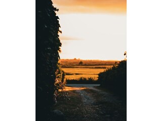 Holiday house Midlum auf Föhr Environment 25