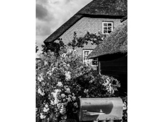 Holiday house Midlum auf Föhr Environment 26