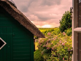 Holiday house Midlum auf Föhr Environment 27