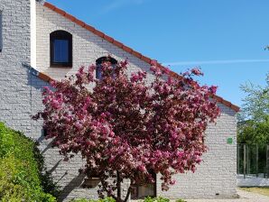 Ferienhaus Ferienperle - De Cocksdorp - image1