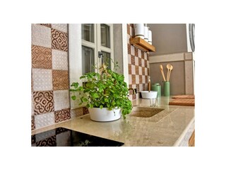 Villa Pićan Caratteristiche 20