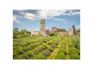 Villa Pićan Ambiente 22