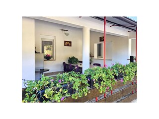 Villa Pula Registrazione all'aperto 3