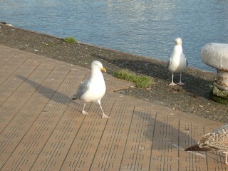 Gruß von der Nordzee