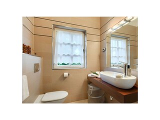 Villa Višnjan Caratteristiche 19