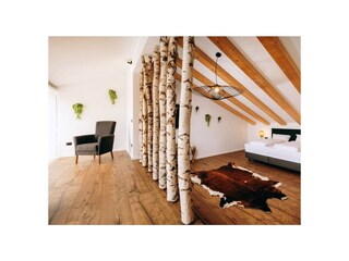 Villa Jakovici Características 5