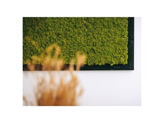 Villa Jakovici Caratteristiche 30