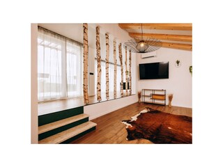Villa Jakovici Características 10