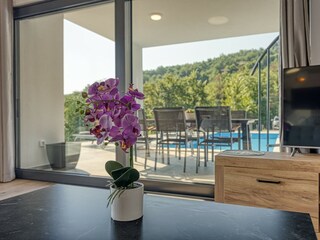Villa Vižinada Outdoor Recording 4