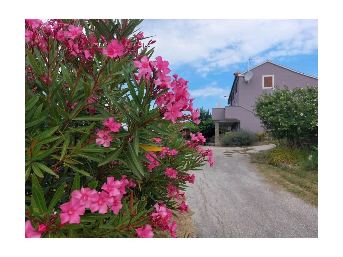 - Apartment Dunja with Panoramic View