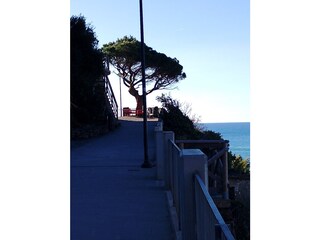 Holiday apartment Riomaggiore Environment 20