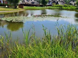 Vakantiehuis Fuhlendorf Omgeving 25