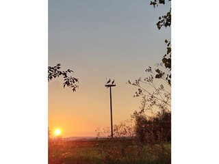 Abendspaziergang Bingenheimerried