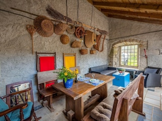 Ferienhaus Roč  8