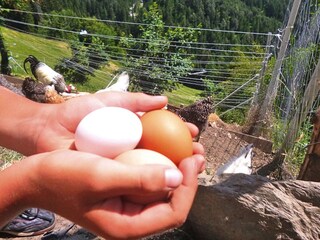 Apartamento Villnöss Entorno 19