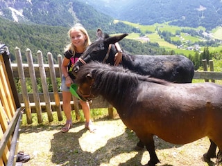 Apartment Villnöss Umgebung 22