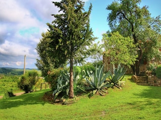 Bauernhof Castiglione d'Orcia Außenaufnahme 14