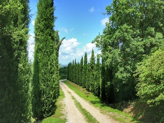 Bauernhof Castiglione d'Orcia Umgebung 34