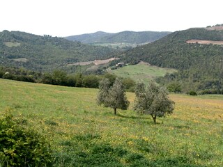 Bauernhof Castiglione d'Orcia Außenaufnahme 11