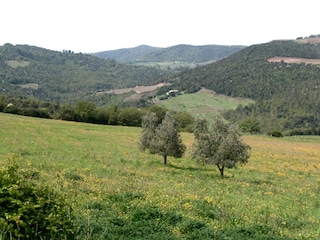 Boerderij Castiglione d'Orcia Buitenaudio-opname 13
