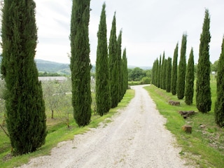Bauernhof Castiglione d'Orcia Umgebung 32