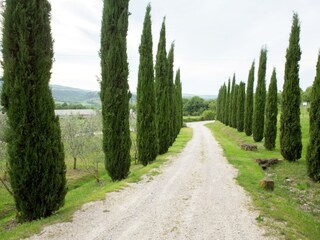 Casa de campo Castiglione d'Orcia Entorno 33