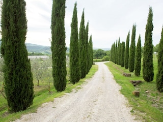 Bauernhof Castiglione d'Orcia Umgebung 35