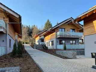Ferienhaus Hahnenklee Außenaufnahme 8
