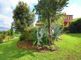 Bauernhof Castiglione d'Orcia Außenaufnahme 13