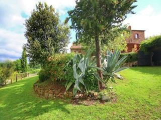 Bauernhof Castiglione d'Orcia Außenaufnahme 12