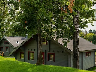 Ferienhaus Clausthal-Zellerfeld Außenaufnahme 4