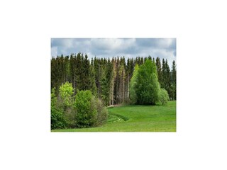 Holiday house Clausthal-Zellerfeld Environment 32