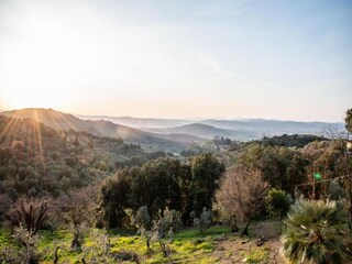 Fattoria Suvereto Ambiente 35
