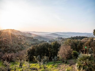 Type de propriété : Ferme Suvereto Environnement 38
