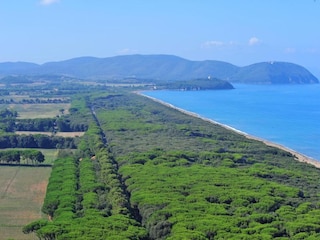 Type de propriété : Ferme Suvereto Environnement 34