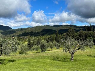 Farmhouse Suvereto Environment 27