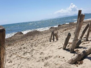 Farmhouse Suvereto Environment 38