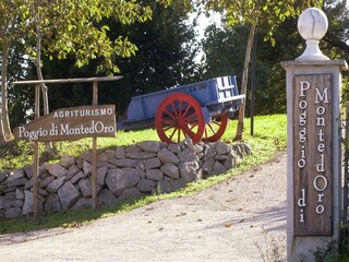 Bauernhof Montefiascone Außenaufnahme 4