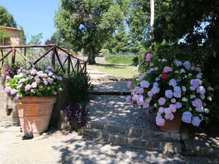 Casa de campo Montefiascone  37